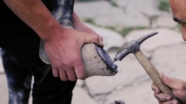 kırpma, temizlik, şekillendirme ve aşırı tek doku at nalı hooves demirci dükkanında bıçak kullanarak kapalı kesme. At horseshoeing at nalı maker. Azerbaycan