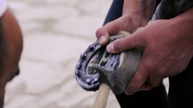 kırpma, temizlik, şekillendirme ve aşırı tek doku at nalı hooves demirci dükkanında bıçak kullanarak kapalı kesme. At horseshoeing at nalı maker. Azerbaycan