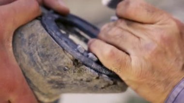 kırpma, temizlik, şekillendirme ve aşırı tek doku at nalı hooves demirci dükkanında bıçak kullanarak kapalı kesme. At horseshoeing at nalı maker. Azerbaycan