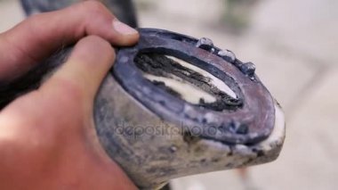 kırpma, temizlik, şekillendirme ve aşırı tek doku at nalı hooves demirci dükkanında bıçak kullanarak kapalı kesme. At horseshoeing at nalı maker. Azerbaycan