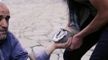 kırpma, temizlik, şekillendirme ve aşırı tek doku at nalı hooves demirci dükkanında bıçak kullanarak kapalı kesme. At horseshoeing at nalı maker. Azerbaycan