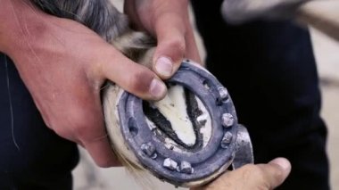 kırpma, temizlik, şekillendirme ve aşırı tek doku at nalı hooves demirci dükkanında bıçak kullanarak kapalı kesme. At horseshoeing at nalı maker. Azerbaycan