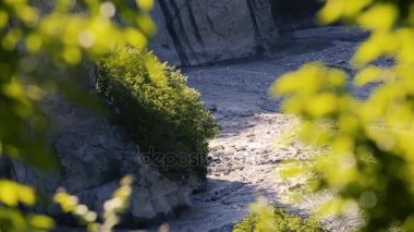 Kafkas dağ doğa ile manzara. Yaz doğa. Ağaçlar kayalık bir arazi üzerinde büyür. Azerbaycan manzaralar
