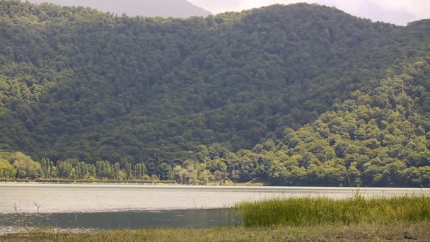 Lago y bosque — Vídeos de Stock