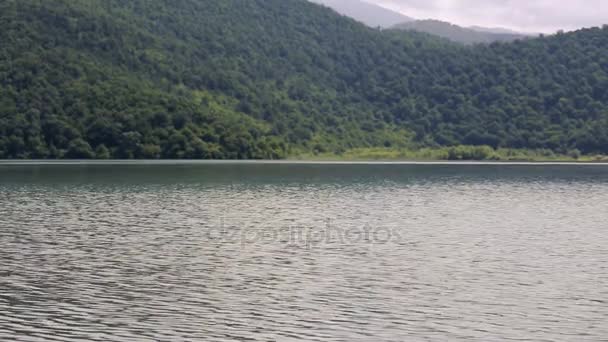 Lago e foresta — Video Stock