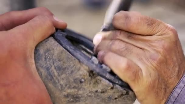 Κοπή, καθαρισμό, διαμόρφωση και κοπή η περίσσεια ιστών σόλα από οπλές του αλόγου χρησιμοποιώντας μαχαίρι στο κατάστημα σιδηρουργών. Πέταλο maker horseshoeing το άλογο. Αζερμπαϊτζάν — Αρχείο Βίντεο