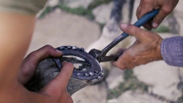 Potatura, pulizia, modellatura e taglio del tessuto suola in eccesso dagli zoccoli del cavallo con coltello nel negozio di fabbri. Costruttore di ferri di cavallo a ferro di cavallo. Azerbaigian — Video Stock