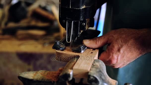 Luthier 메이커 워크샵 그리고 클래식 음악 악기 악기-타르-아제르바이잔인 악기 만들기. 테스트 하 고 오래 된 악기를 만들어입니다. Luthier 작업. — 비디오