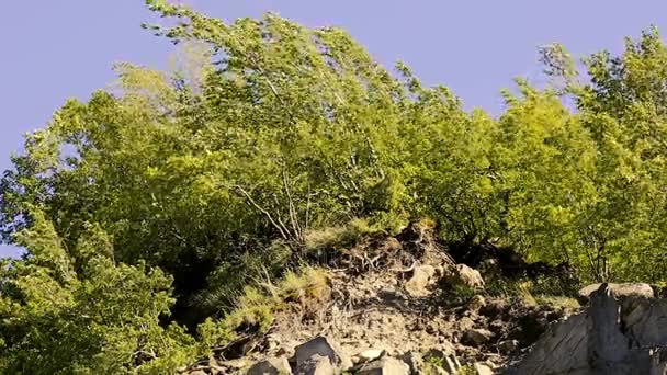 Táj a Kaukázusban hegyvidéki jellege. Nyári jellegét. Fák nőnek, egy sziklás terepen. Azerbajdzsán tájak — Stock videók