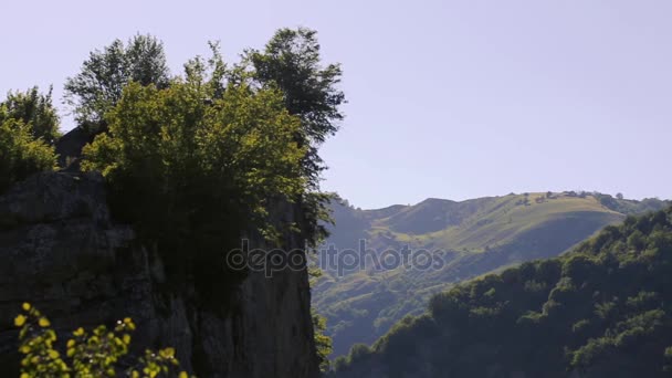 Paisaje con la naturaleza del Cáucaso. Naturaleza de verano. Los árboles crecen en un terreno. Azerbaiyán paisajes — Vídeos de Stock