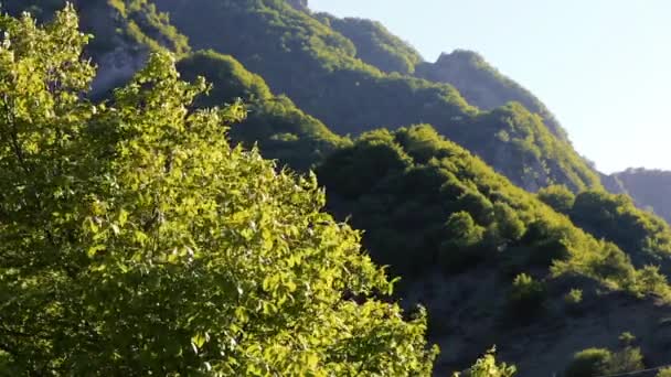 景观与高加索的性质。夏天自然。树木在地形上生长。阿塞拜疆风景 — 图库视频影像