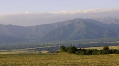 Kafkasya doğa ile manzara. Yaz doğa. Ağaçlar bir arazi üzerinde büyür. Azerbaycan manzaralar