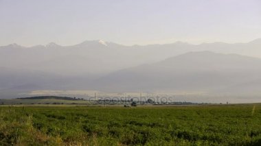 Kafkasya doğa ile manzara. Yaz doğa. Ağaçlar bir arazi üzerinde büyür. Azerbaycan manzaralar