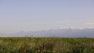 Kafkasya doğa ile manzara. Yaz doğa. Ağaçlar bir arazi üzerinde büyür. Azerbaycan manzaralar