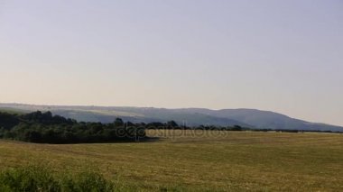 Kafkasya doğa ile manzara. Yaz doğa. Ağaçlar bir arazi üzerinde büyür. Azerbaycan manzaralar