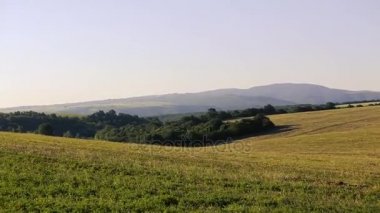 Kafkasya doğa ile manzara. Yaz doğa. Ağaçlar bir arazi üzerinde büyür. Azerbaycan manzaralar
