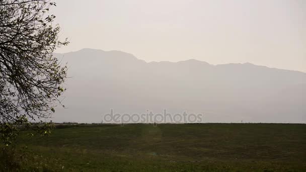 Kafkasya doğa ile manzara. Yaz doğa. Ağaçlar bir arazi üzerinde büyür. Azerbaycan manzaralar — Stok video