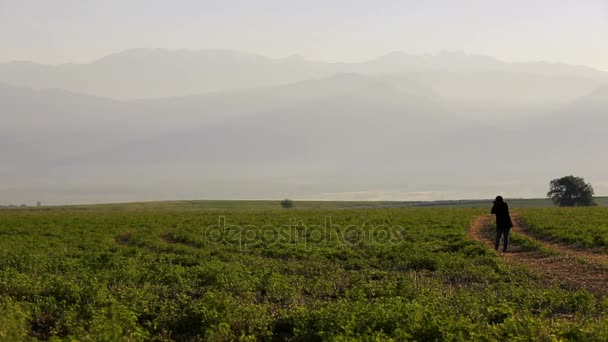 Egy ember, természet fotózás. Nyári táj, Azerbajdzsán — Stock videók