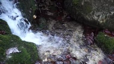 Nehir. Küçük bir şelale. Orman sonbahar nehirde. Yakın mesafeden çekim.