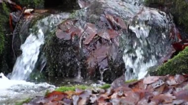 Nehir. Küçük bir şelale. Orman sonbahar nehirde. Yakın mesafeden çekim.