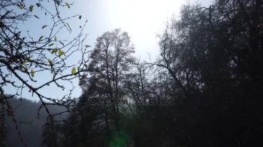 Sonbahar orman manzara - Azerbaycan doğa