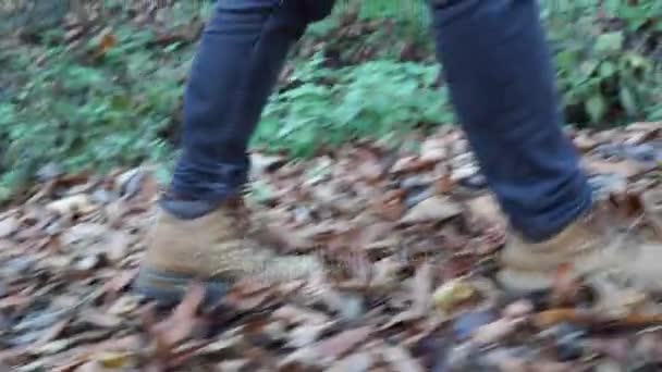 Gevallen herfstbladeren en man lopen in herfst — Stockvideo