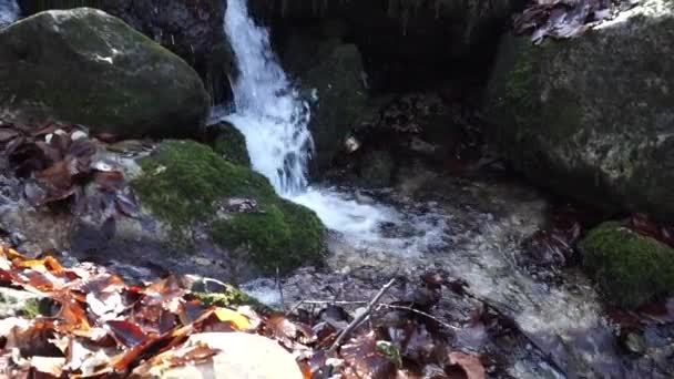 Der Fluss. ein kleiner Wasserfall. Waldfluss im Herbst. Schießen aus nächster Nähe. — Stockvideo