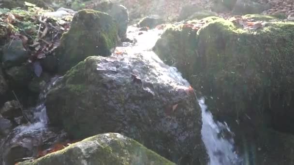 Nehir. Küçük bir şelale. Orman sonbahar nehirde. Yakın mesafeden çekim. — Stok video