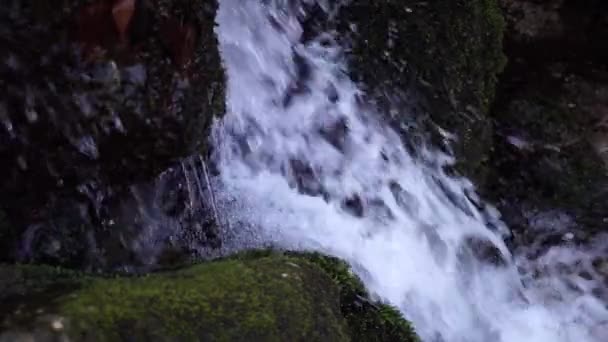 Řeku. Malý vodopád. Lesní řeka na podzim. Střelbu na krátkou vzdálenost. — Stock video