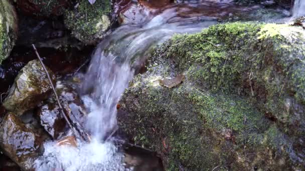 De rivier. Een kleine waterval. Forest river in de herfst. Schieten op korte afstand. — Stockvideo