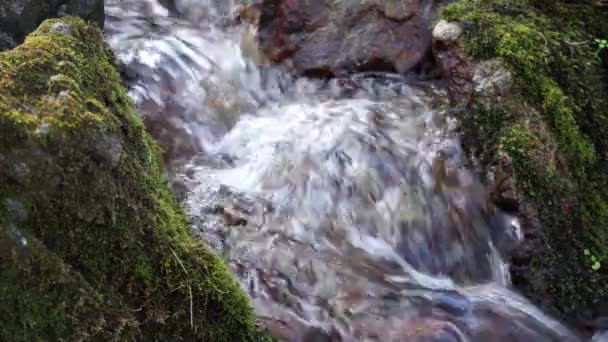 A folyó. Egy kis vízesés. Az őszi erdő-folyó. Lövés közelről. — Stock videók