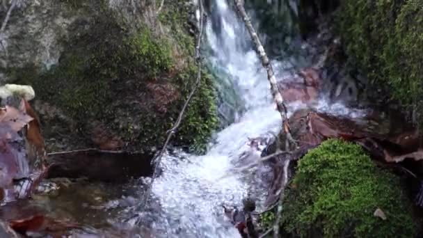 Řeku. Malý vodopád. Lesní řeka na podzim. Střelbu na krátkou vzdálenost. — Stock video