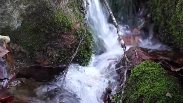 De rivier. Een kleine waterval. Forest river in de herfst. Schieten op korte afstand. — Stockvideo