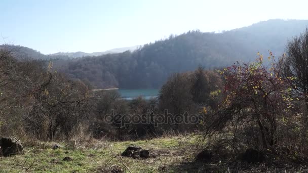 Paysage forestier d'automne - Azerbaïdjan nature — Video