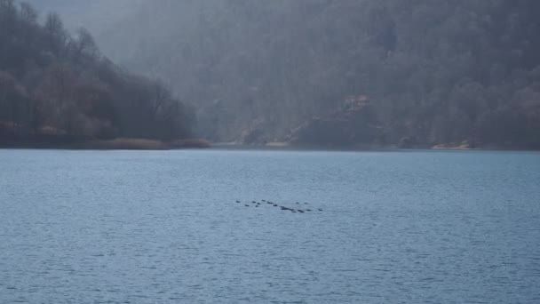 Sjön Goygol Azerbajdzjan skog vatten och himmel i landskap video — Stockvideo