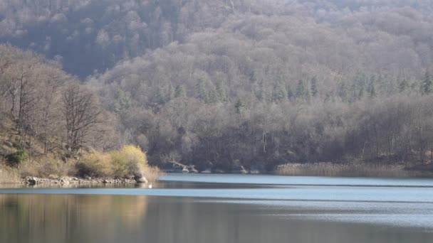 Sjön Goygol Azerbajdzjan skog vatten och himmel i landskap video — Stockvideo