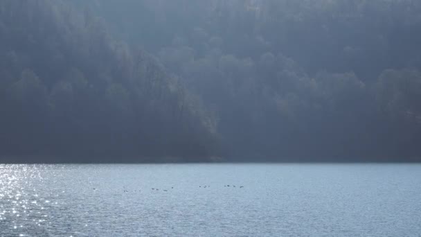 Lago Goygol Azerbaijão floresta água e céu em vídeo paisagem — Vídeo de Stock