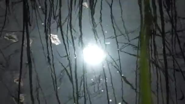Water beven en reflectie op het water. schittering van de zon. — Stockvideo
