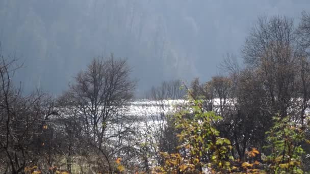 Озеро Гейголь Азербайджанское лесная вода и небо в ландшафтном видео — стоковое видео