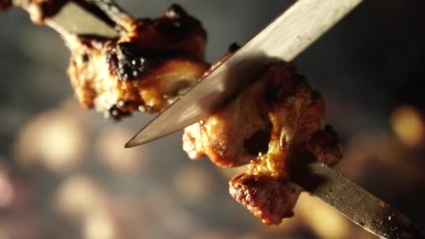 Slow-motion. Koken barbecue. Vers vlees geroosterd op kolen. Outdoor recreatie. — Stockvideo