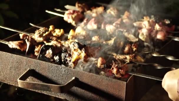 Lassú mozgás. Főzés a grill. Friss hús sült a parazsat. Kültéri szabadidő. Stock Videó