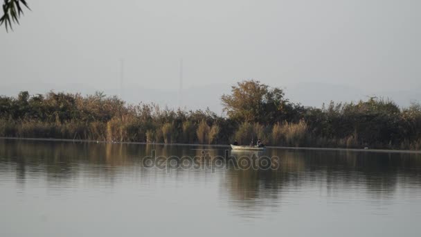 Barco de peces en el río — Vídeos de Stock