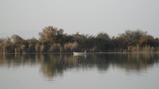 Barco de peces en el río — Vídeos de Stock