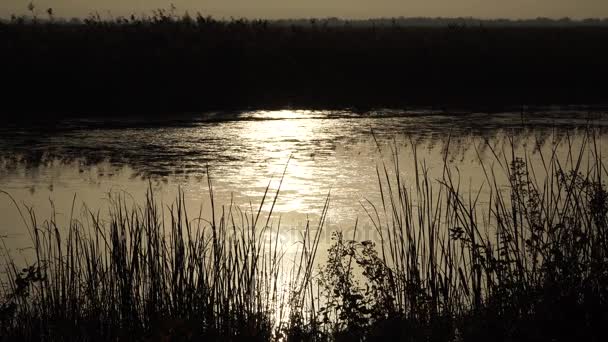 Puesta de sol en el río - Azerbaiyán paisajes — Vídeos de Stock