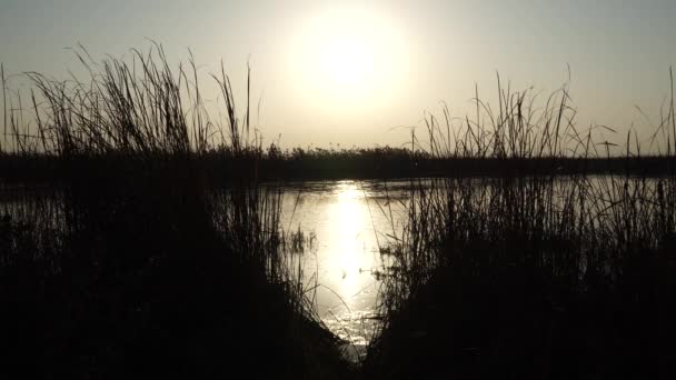 Západ slunce na řece - Ázerbájdžán krajiny — Stock video