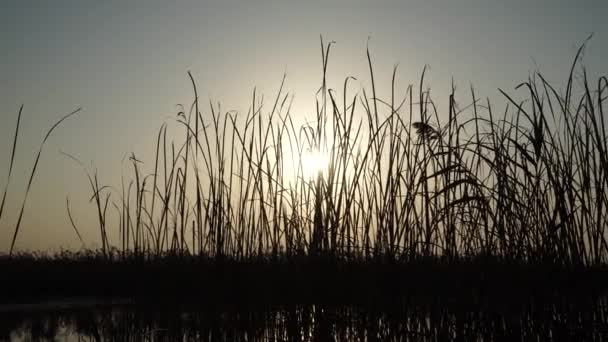 Sunset on river - Azerbaijan landscapes — Stock Video