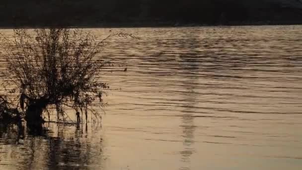 Sonnenuntergang am Fluss - Azerbaidschanische Landschaften — Stockvideo