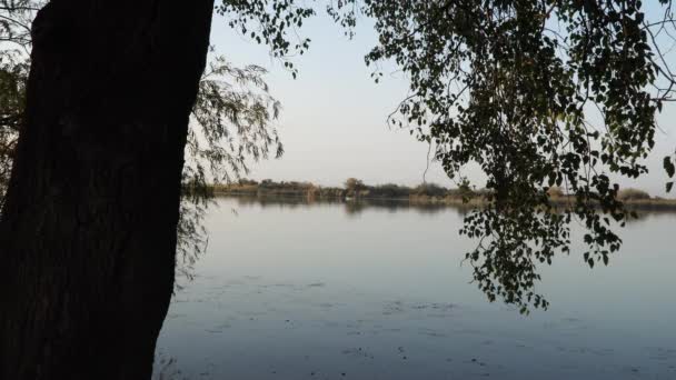 柯恩阿塞拜疆河 — 图库视频影像
