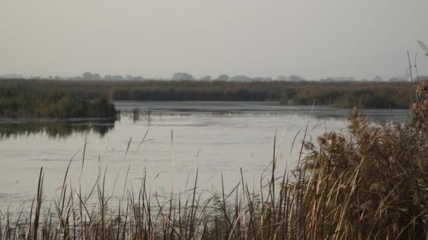 Rivière Kur Azerbaïdjan 