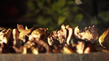 Ağır çekim. Barbekü yemek. Taze et kömürün üstünde kavrulmuş. Açık Rekreasyon.